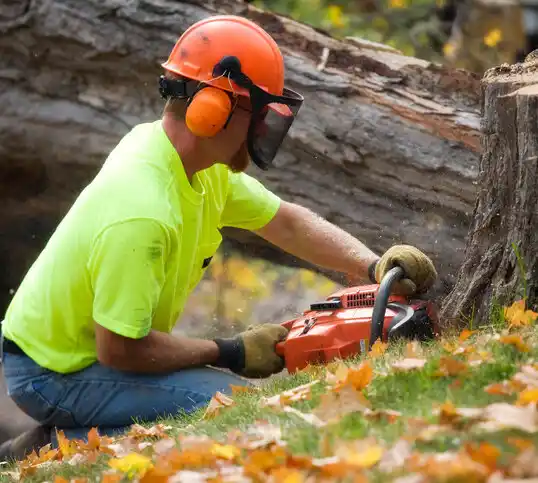 tree services Cherryville